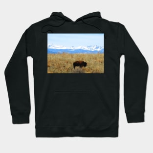 Buffalo and the Rocky Mountains Hoodie